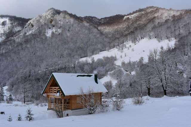 Лоджи Mountain Lodge Mont Peace Колашин-18